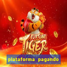 plataforma pagando no cadastro tigre